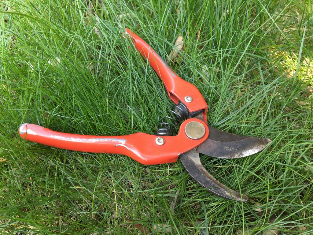 Ako vybrať záhradné nožnice